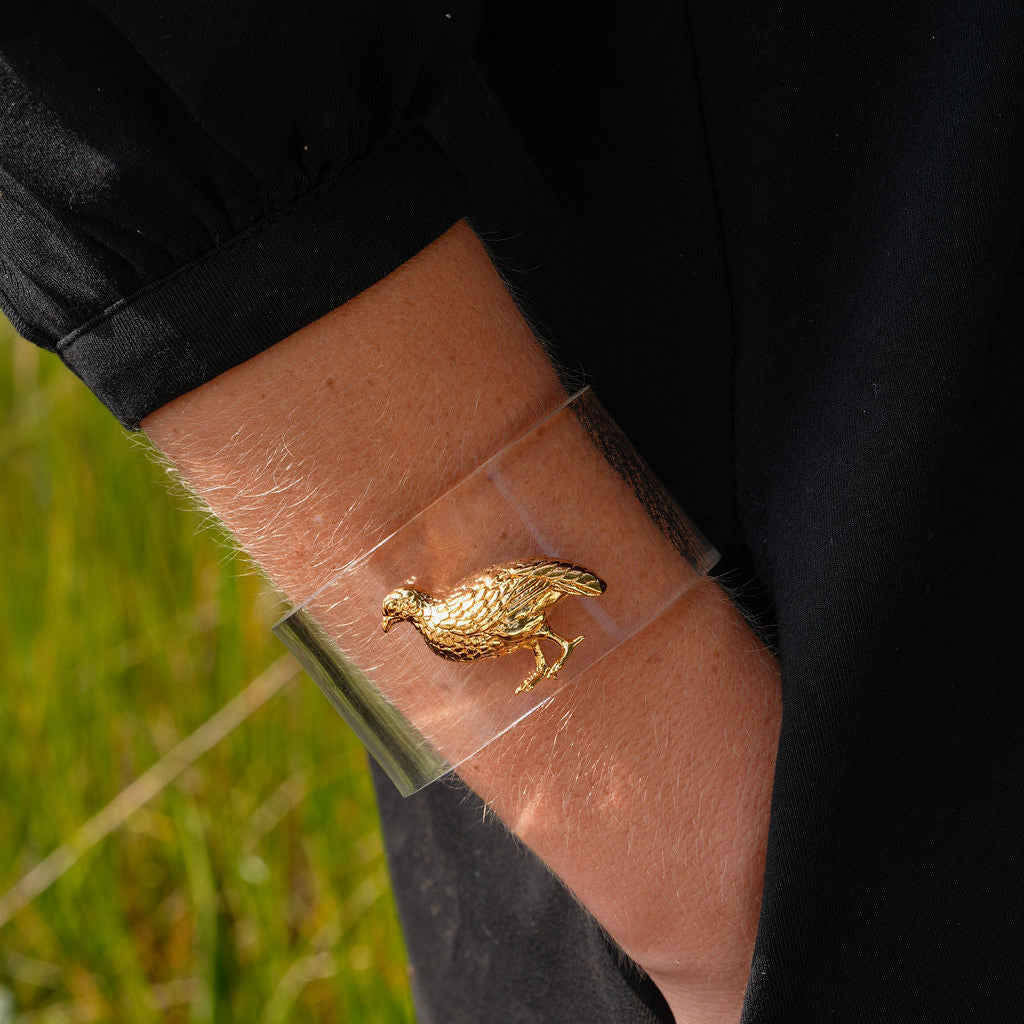 A close-up of a person's forearm wearing a clear adhesive bandage with a small gold bird charm attached, outdoors with grass in the background.